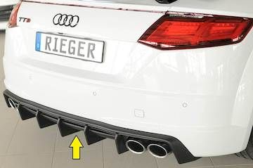 Rieger  Heckeinsatz