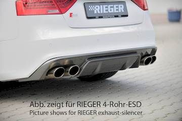 Rieger  Heckeinsatz