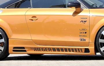 Rieger  Seitenschweller