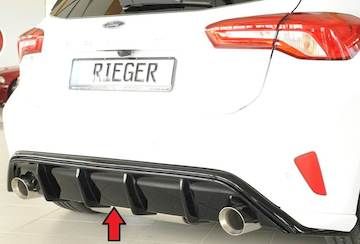 Rieger  Heckeinsatz