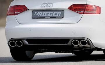 Rieger  Heckeinsatz
