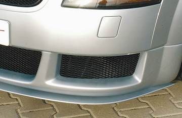 Rieger  Spoilerschwert  für Spoileransatz 55116