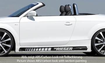 Rieger  Seitenschweller