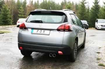 Fox_PE110001-280