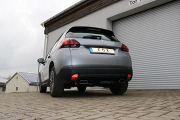 Fox_PE110013-671