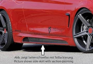 Rieger  Seitenschweller