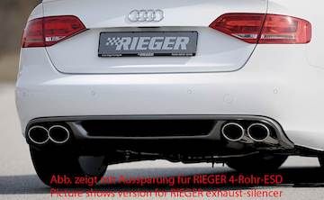 Rieger  Heckeinsatz