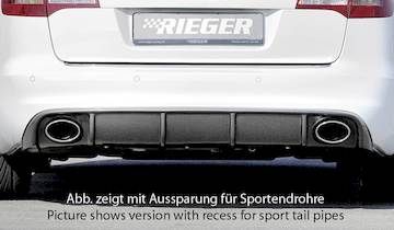 Rieger  Heckeinsatz