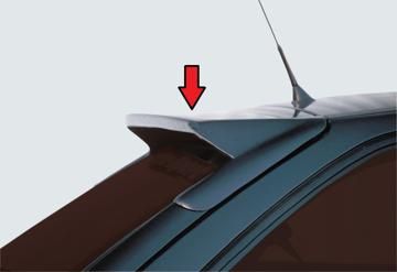 Rieger Rieger Dachflügel