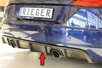 Rieger Rieger Heckeinsatz