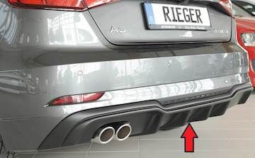 Rieger  Heckeinsatz