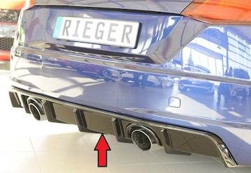 Rieger  Heckeinsatz