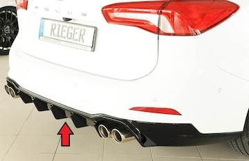 Rieger  Heckeinsatz