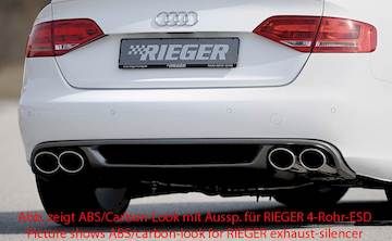 Rieger  Heckeinsatz
