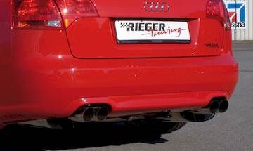 Rieger  Heckeinsatz