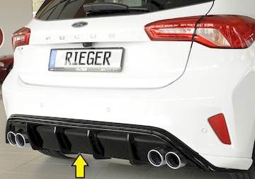 Rieger  Heckeinsatz
