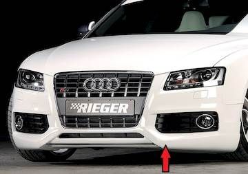 Rieger  Spoilerlippe